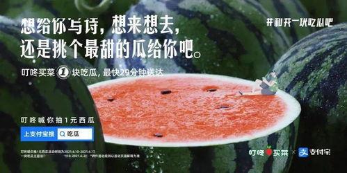 离婚吃瓜文案,娱乐圈的瓜田，谁主沉浮？