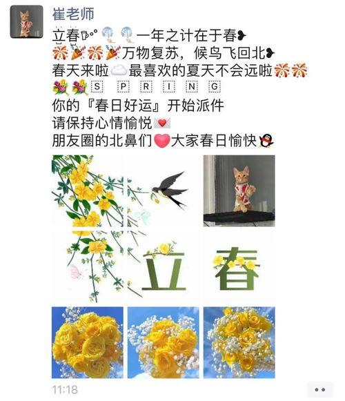 小开的吃瓜日记,揭秘娱乐圈幕后故事