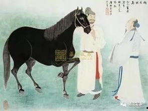 伯乐计划吃瓜,揭秘吃瓜群众的智慧与力量