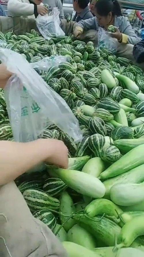 工程大叔吃瓜,揭秘工程界的趣味瞬间