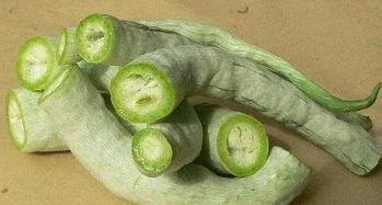外婆吃蛇瓜,探寻蛇瓜的独特风味
