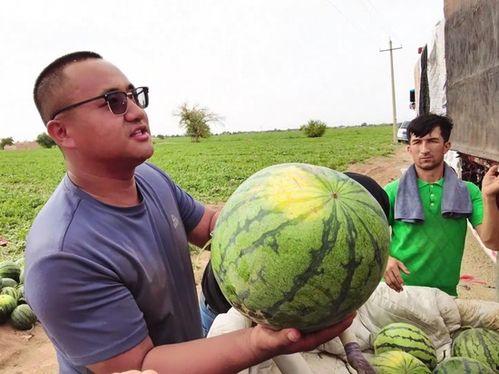 空城吃瓜,揭秘城市中的隐秘生活现象