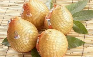 柚子在吃瓜,探寻夏日消暑新宠