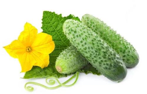 吃瓜系统唐雪青,吃瓜系统背后的故事与启示